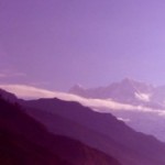 Profile picture of Pragya Singh